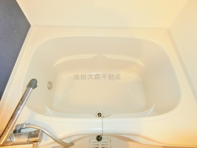 スマートVILLA多摩川の浴室