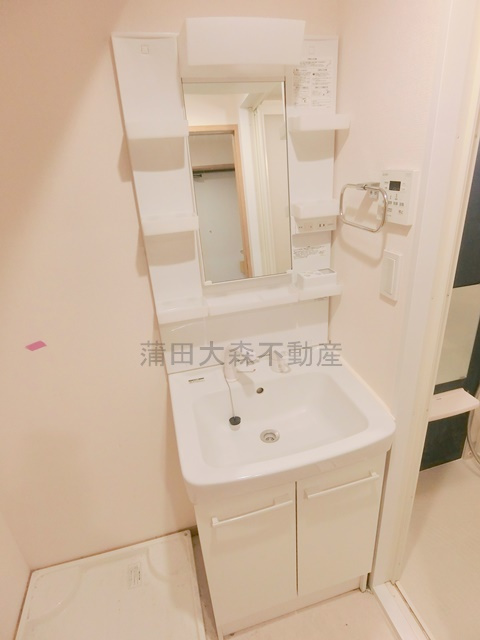 スマートVILLA多摩川の洗面所