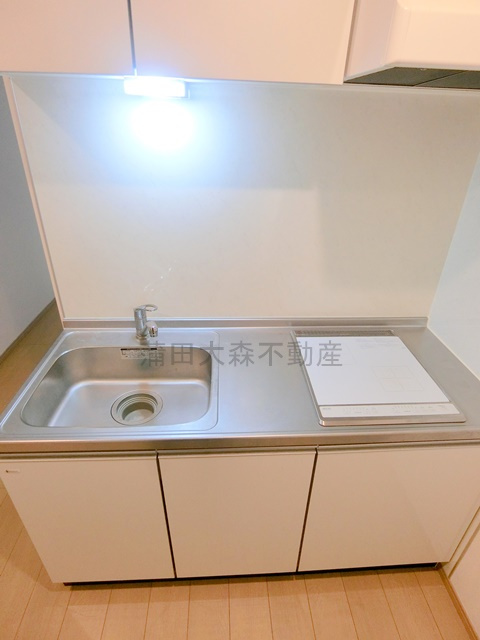 スマートVILLA多摩川のキッチン|2口IHコンロのキッチン