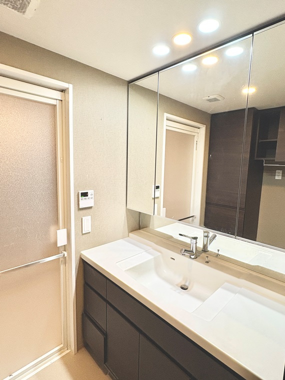 ライオンズ一社グランテラスの洗面所