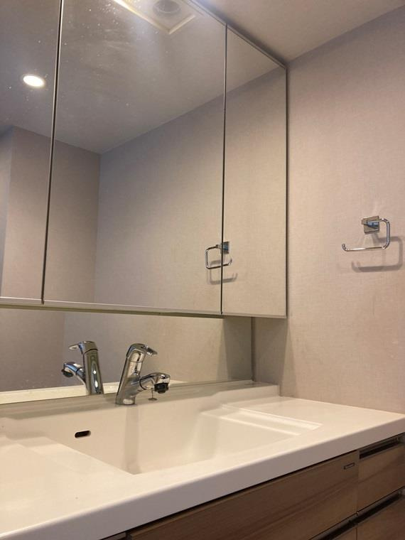 ライオンズ南大高ディアグランデの洗面所