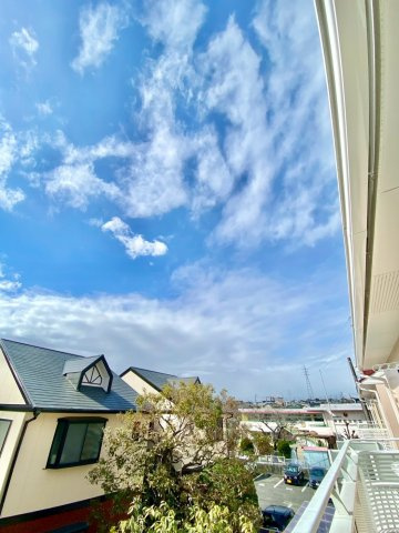 タウンサンロイヤルCの展望