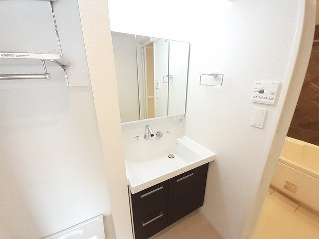 メゾン　サカエⅤの洗面所