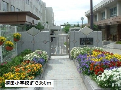 サニー　ヒルズの周辺|植田小学校まで350m