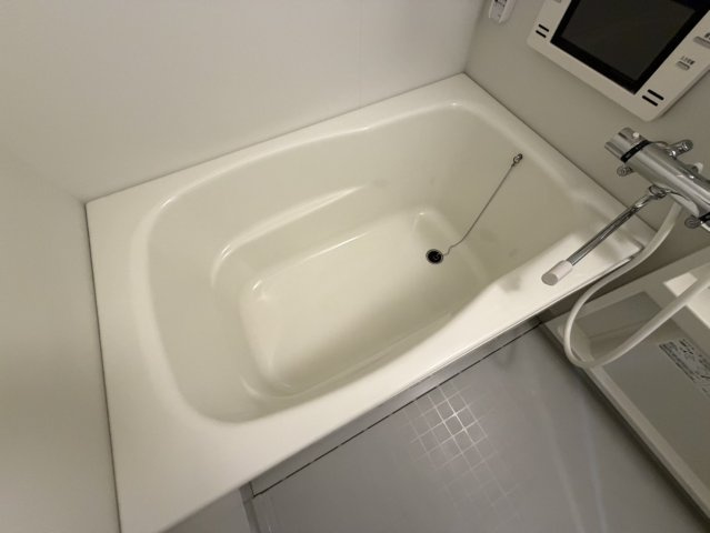 フレンシアノイエ難波南の浴室