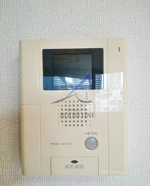 ピアセンティーナのその他