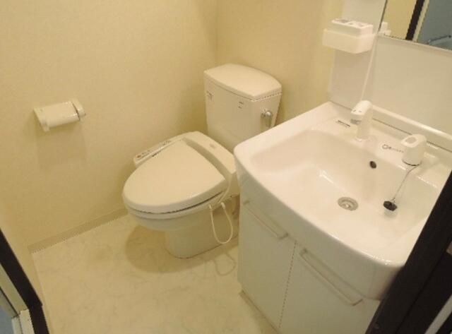 グランデフォルトゥーナの洗面所