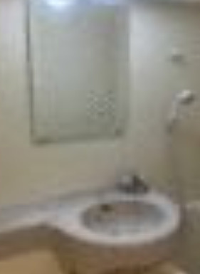 エリゼー池袋の洗面所