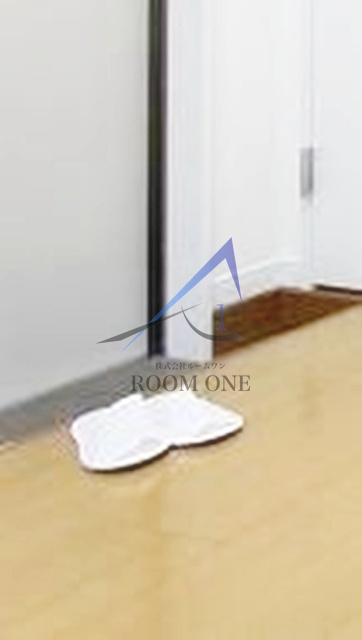 ＴＭ上平間の玄関|玄関です。