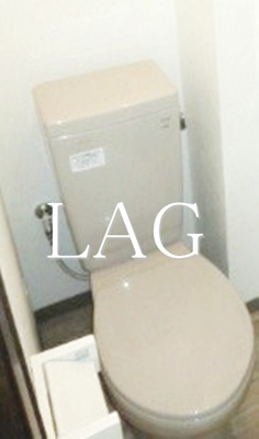 【トイレ】 | タワーズ高田馬場 | トイレです。