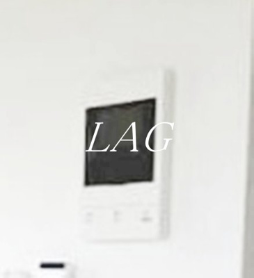 【セキュリティ】 | フェリスフルート | モニター付インターホンです。