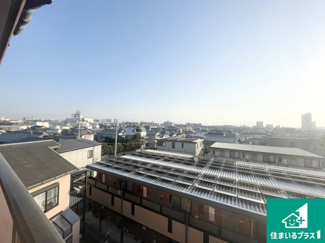 ベルク浜寺公園の展望