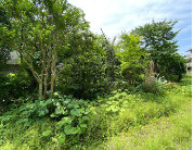 【庭】 | モニュメントスクエア壱番館 | モニュメントスクエア弐番館 