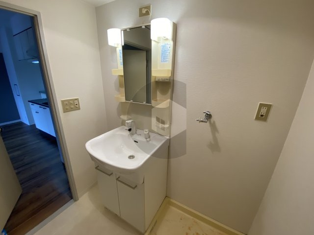 サンハイツ稲田の独立洗面台