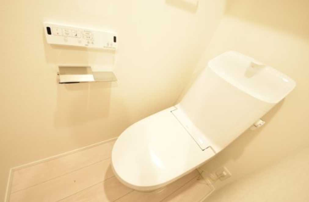 CASAPIAZZA二子玉川　礼金０　新築　ペット相談のトイレ