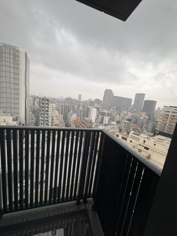 ザ・ライオンズフォーシア文京湯島の展望