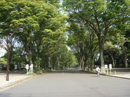 世田谷区深沢６丁目のアパートの周辺