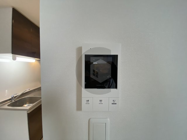 F asecia Carmelのセキュリティ