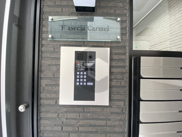 F asecia Carmelのセキュリティ