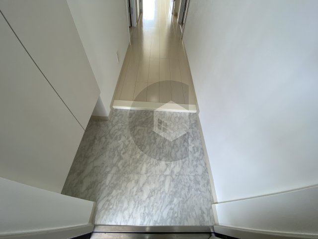 東大阪市西堤学園町２丁目の賃貸マンションの玄関