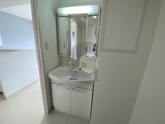 東大阪市西堤学園町２丁目の賃貸マンションの独立洗面台