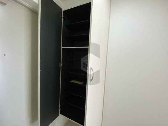 東大阪市西堤学園町２丁目の賃貸マンションの収納