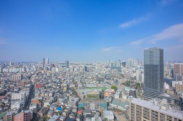 ★仲介手数料無料★大崎ウエストシティタワーズW棟（大崎駅よりペデストリアンデッキ直結）の展望