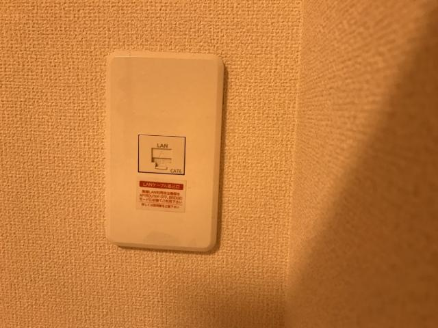 ルルドのその他|ネット無料LANケーブル