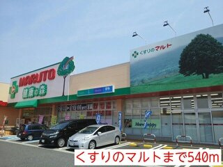 エクセレント小島の周辺|くすりのマルトまで540m