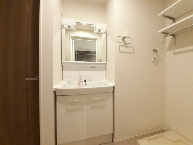 シャインビューⅤの洗面所