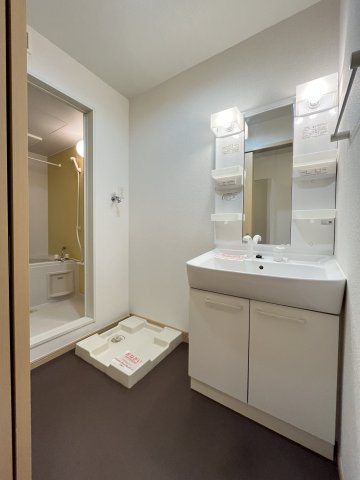 Ｐｉｎｅ　Ｃｏｕｒｔ（パインコート）の洗面所