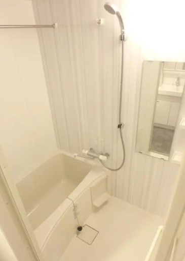 S-RESIDENCE新宿イーストの浴室