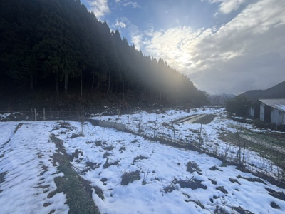 【外観】 | 朝来市和田山町市場　農地1