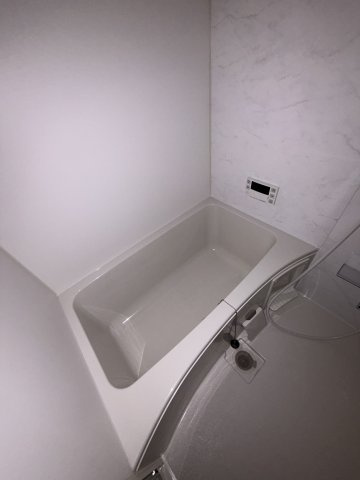 Mano Mansionの浴室