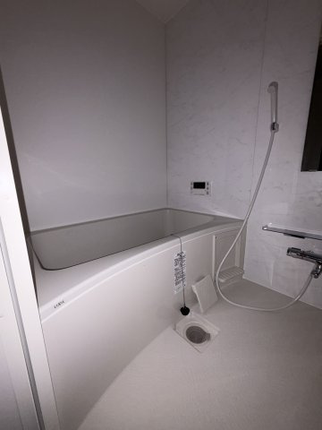 Mano Mansionの浴室