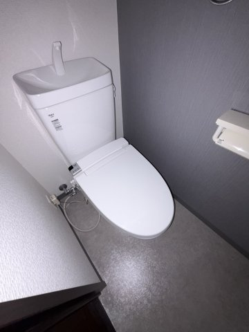 Mano Mansionのトイレ