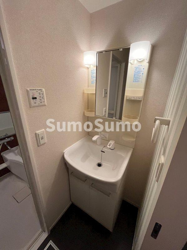 ヴィラ・デュオA棟の洗面所|忙しい朝には欠かせない洗面所です