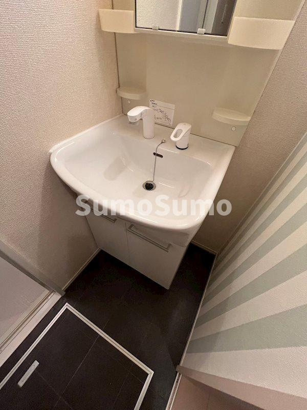 ヴィラ・デュオA棟の洗面所|脱衣スペースもあります