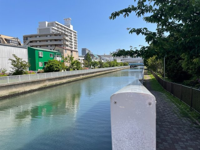 メゾン大沢の展望