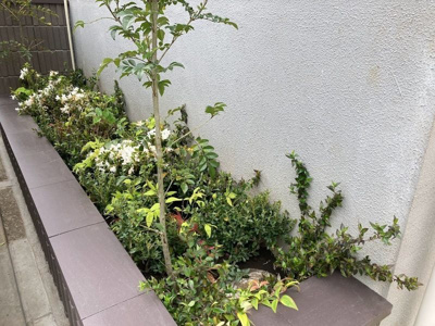 【その他】 | グレイス堀之内(グレイスホリノウチ)