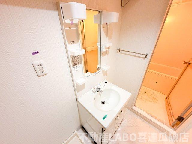 ロードハイムY・Kの洗面所