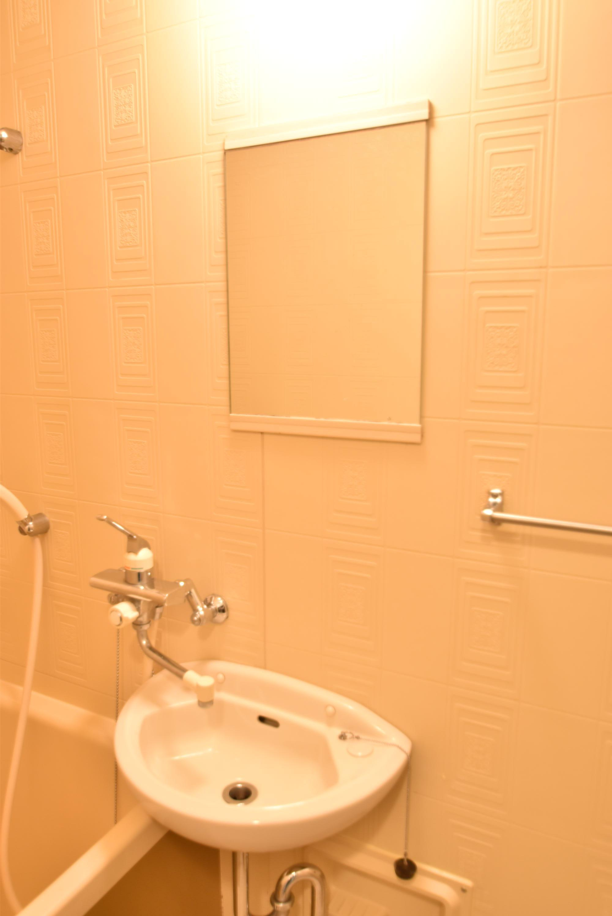 大阪市城東区野江１丁目の賃貸マンションの洗面所