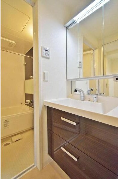 セレニティー大須の洗面所