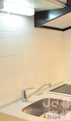 【キッチン】 | ブライズ品川南Le-lion | キッチンです