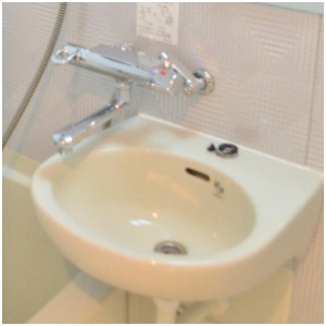 【洗面所】 | ブライズ品川南Le-lion | 洗面所です