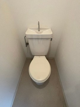 クリスタルカーサⅡのトイレ
