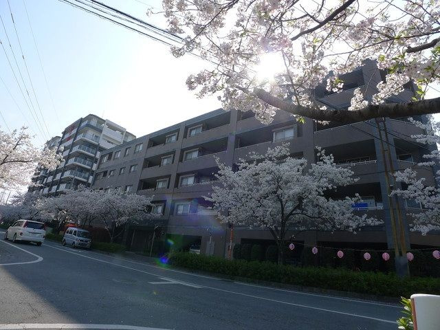 熊本市南区馬渡１丁目の賃貸マンション