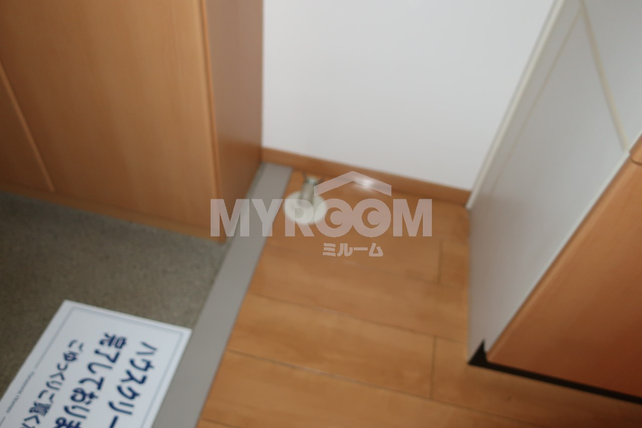 グレイシス東池袋の玄関