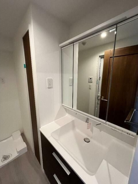 シルクボーテの洗面所