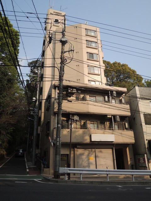 日神パレステージ市川の外観